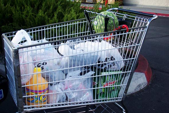 Shopping?  Just Say No to Plastic Bags