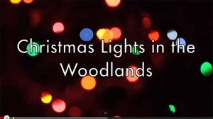 Woodlandsxmaslights 4