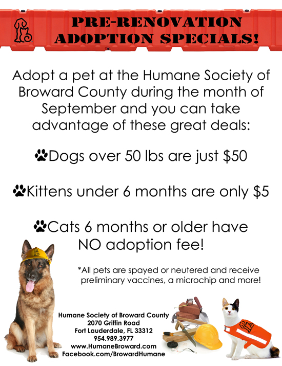 Special Prices for Adopting a Dog or Cat from the Humane Society in September 1