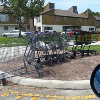 Grocerycarts