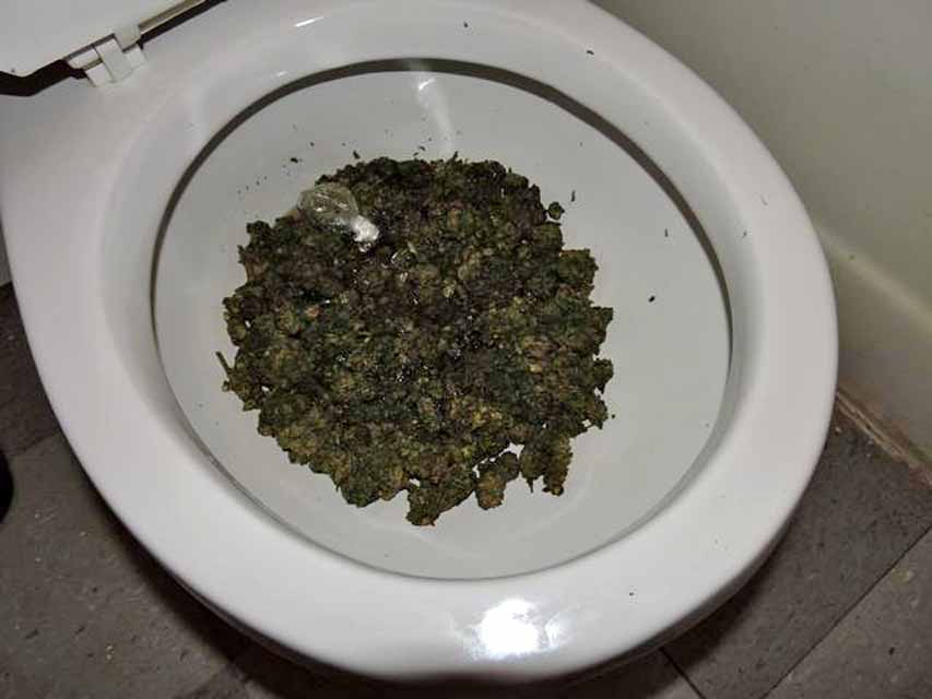 Pot-in-toilet