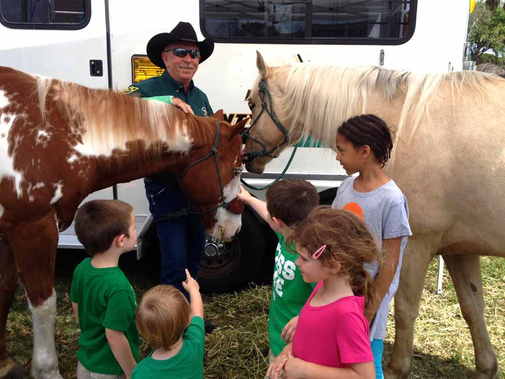 Sheriff Scott Israel: Horseplay – A Road to Recovery