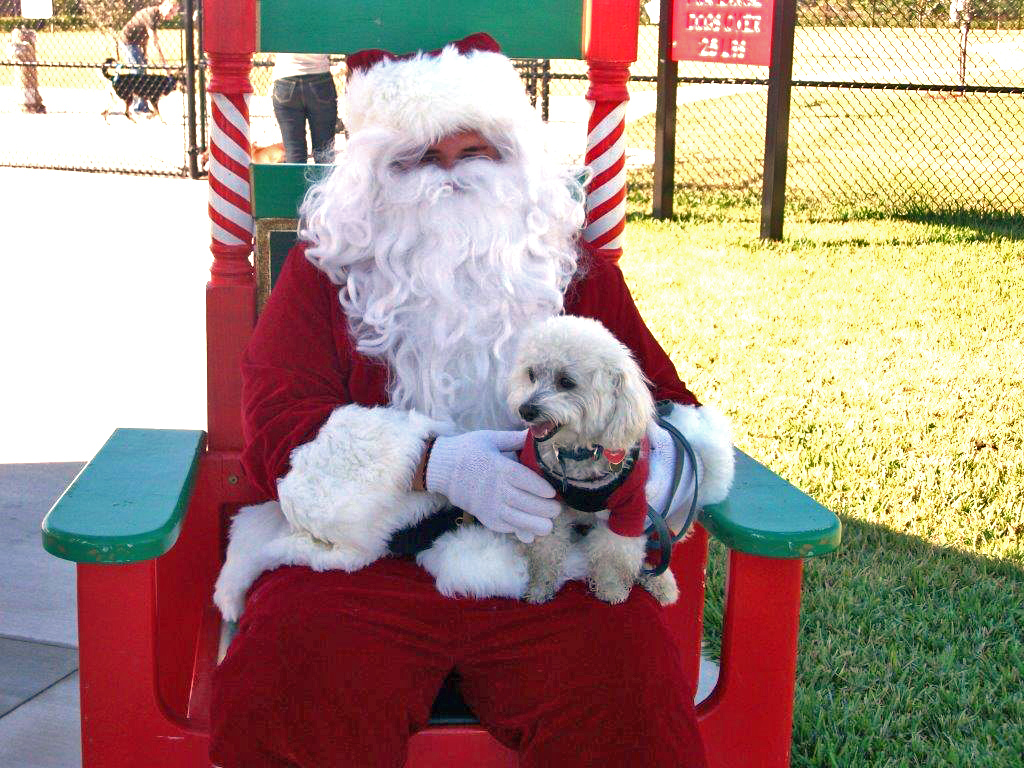 Paws with Claus event in Tamarac - photo courtesy City of Tamarac.