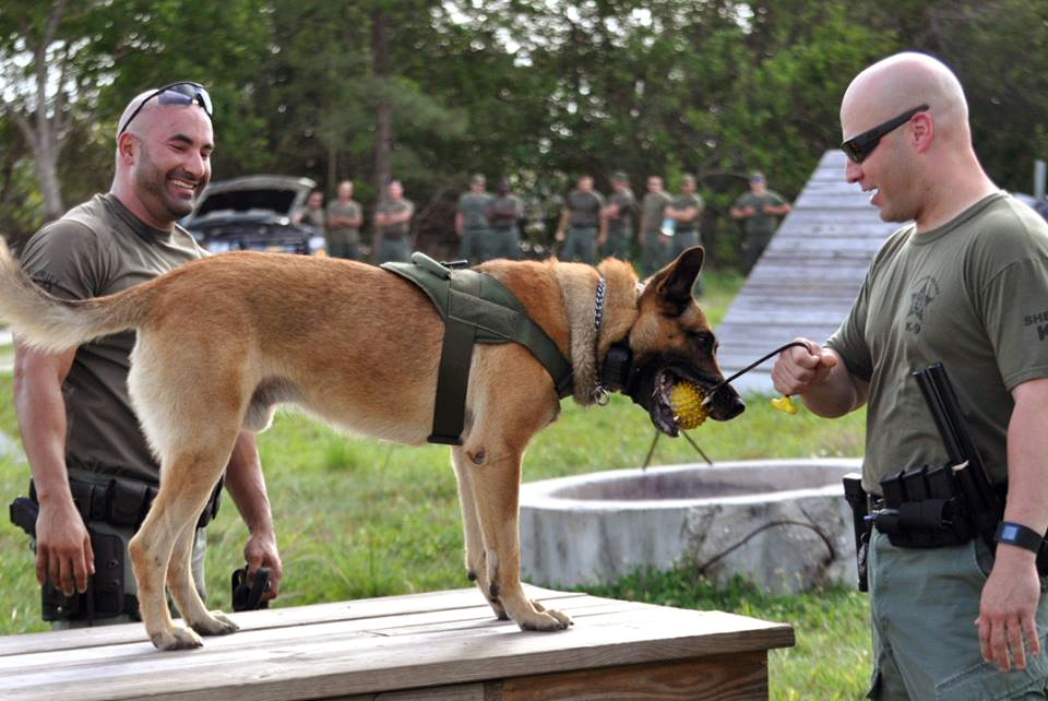 BSO K9 Officers - photo courtesy Broward Sheriff's Office.