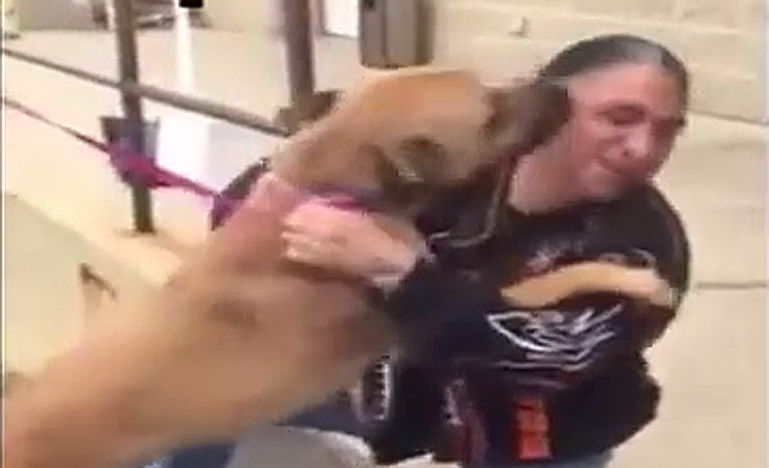 Man Reunited With Dog Stolen From Him Two Years Ago Man Reunited With Dog Stolen From Him Two Years Ago