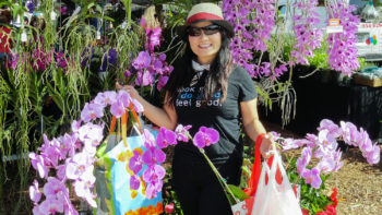 orchid festival