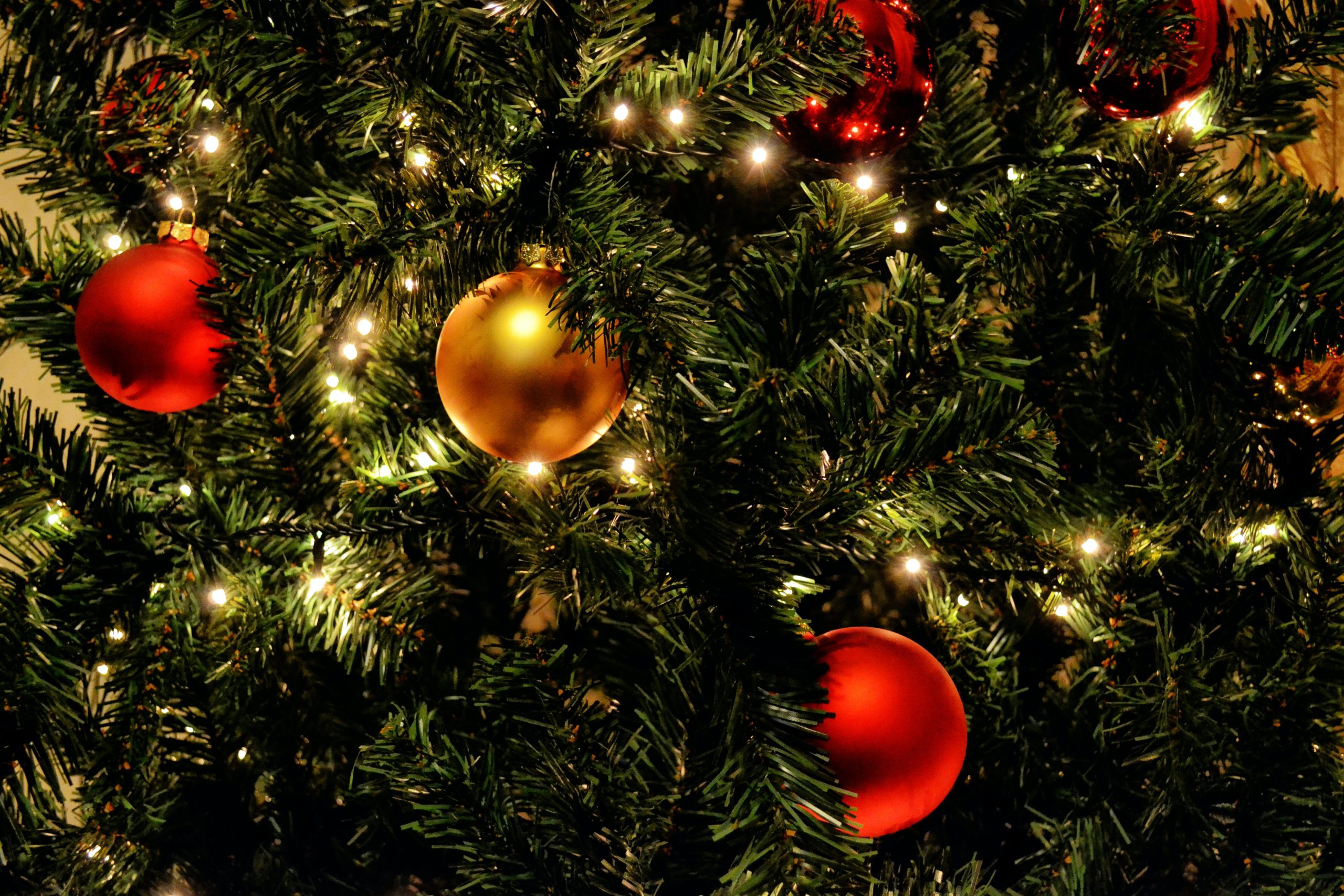 Tamarac Offering Environmentally-Friendly Christmas Tree Disposal