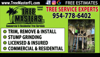 Tree Masters FL