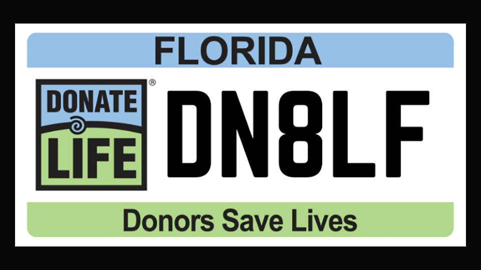 donors save lives donate lives florida