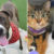 Pets of the Week: Prince, Mia and Nami Are Looking for Forever Homes