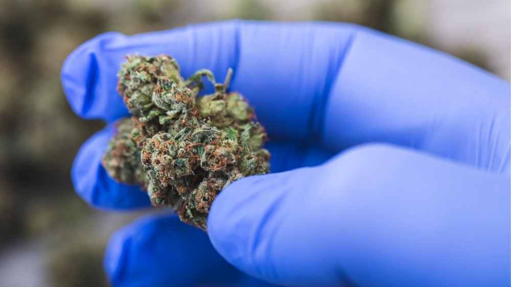 New Medical Marijuana Dispensary Opens In Tamarac