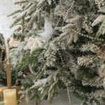 Say Goodbye to Your Tree in Style: How to Recycle Your Christmas Tree in Broward County