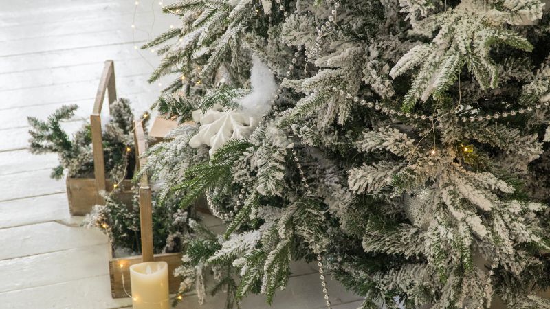 Say Goodbye to Your Tree in Style: How to Recycle Your Christmas Tree