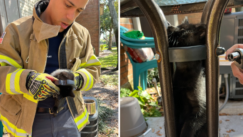Table for One? Tamarac Firefighters Rescue Curious Kitten from Metal Mishap