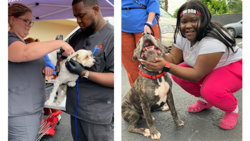 Broward County Pet Care Clinic Hosts Free Chip-A-Pet and Vaccination Event
