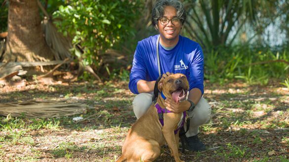Broward Animal Care Waives Dog and Cat Adoption Fees Through Sept. 30 15