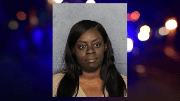 Woman Accused of Ramming Husband’s Tesla With 4 Children in Her Car 27